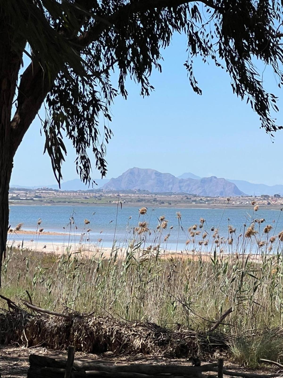 לה מאטה 107 Sea Side - Alicante Holiday מראה חיצוני תמונה